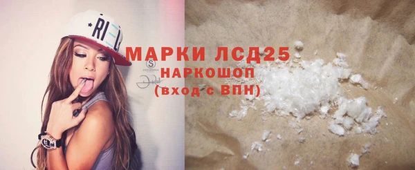молекула духа Богородицк