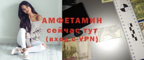 молекула духа Богородицк