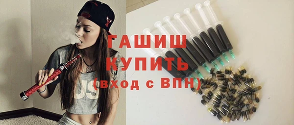 молекула духа Богородицк