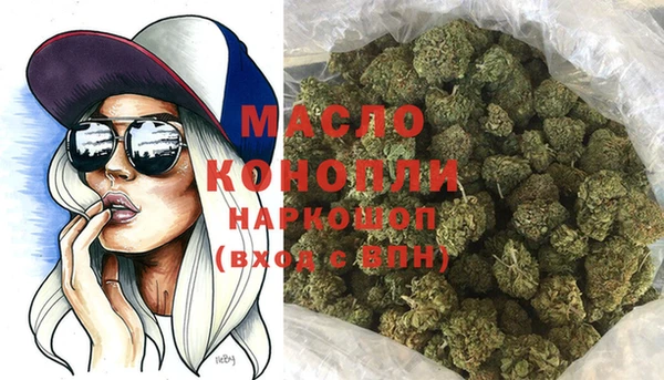 молекула духа Богородицк