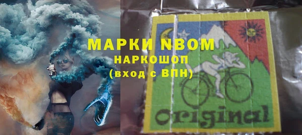 молекула духа Богородицк